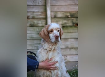 Buck - Ein neues Jahr, eine neue Hoffnung?