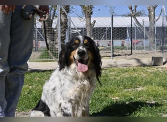 Shelby - eine neue Welt