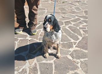 Atlante