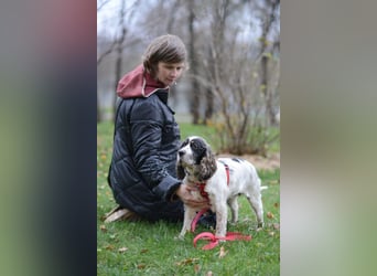 Lebenslustige KELLIS sucht eine aktive Familie