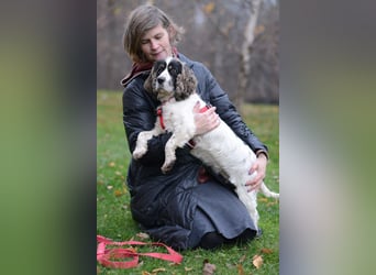 Lebenslustige KELLIS sucht eine aktive Familie