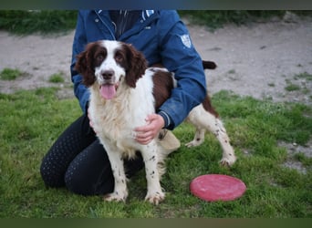 Ulk - Suche Familie, biete bedingungslose Liebe