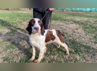 Ulk - Suche Familie, biete bedingungslose Liebe