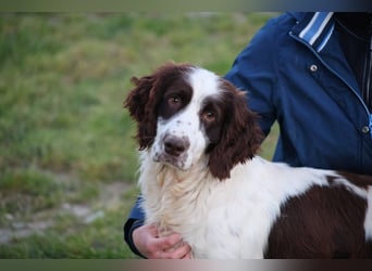 Ulk - Suche Familie, biete bedingungslose Liebe