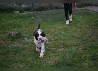 Ulk - Suche Familie, biete bedingungslose Liebe