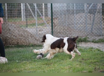 Ulk - Suche Familie, biete bedingungslose Liebe