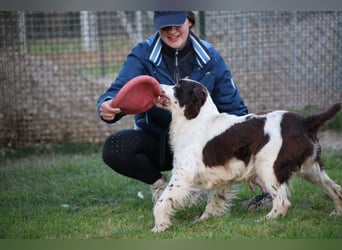 Ulk - Suche Familie, biete bedingungslose Liebe