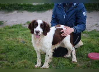 Ulk - Suche Familie, biete bedingungslose Liebe