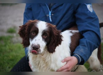 Ulk - Suche Familie, biete bedingungslose Liebe