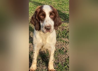 Ulk - Suche Familie, biete bedingungslose Liebe