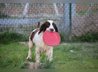 Ulk - Suche Familie, biete bedingungslose Liebe