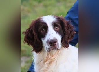 Ulk - Suche Familie, biete bedingungslose Liebe