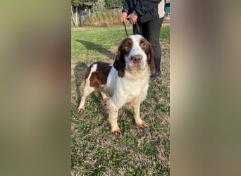 Ulk - Suche Familie, biete bedingungslose Liebe