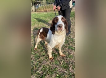 Ulk - Suche Familie, biete bedingungslose Liebe