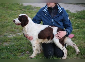 Ulk - Suche Familie, biete bedingungslose Liebe