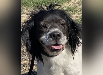 Brina - kleine Jägerin mit großem Herz und Freude am Leben