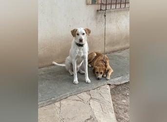  BERTO  ist noch schüchtern