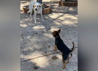  BERTO  ist noch schüchtern