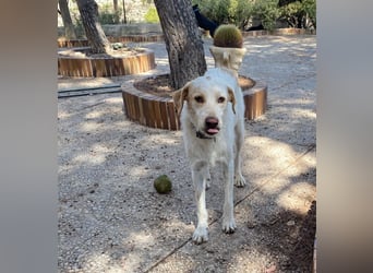  BERTO  ist noch schüchtern