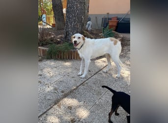  BERTO  ist noch schüchtern