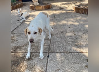  BERTO  ist noch schüchtern