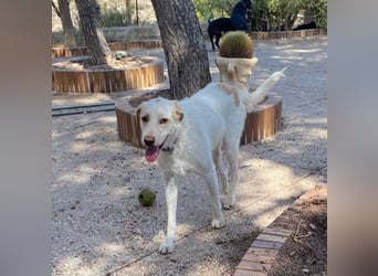  BERTO  ist noch schüchtern