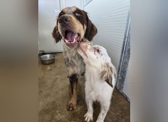 Lello: endlich durchstarten