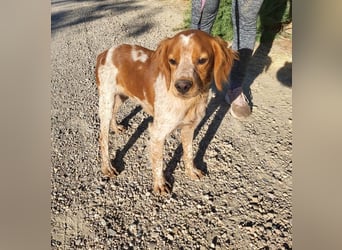 RINRIN-süßer Charmeur-sehr lieb, vertrauensvoll, schlau, möchte alles richtig machen