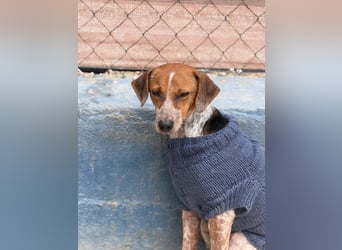 Alison, vorsichtig und zart