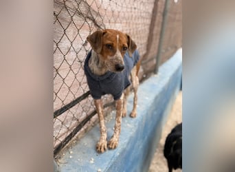 Alison, vorsichtig und zart