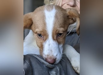 Anastasia – klein, tapsig und bereit fürs große Glück