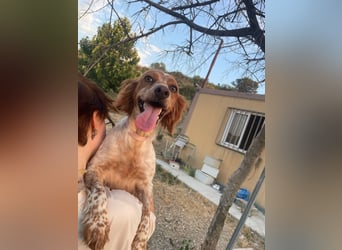 Linda, treu, liebenswert und voller Hoffnung