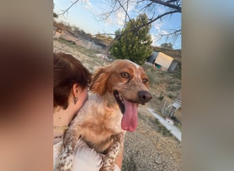 Linda, treu, liebenswert und voller Hoffnung