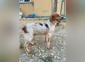 Linda, treu, liebenswert und voller Hoffnung