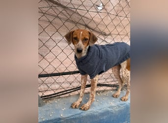 Alison, vorsichtig und zart