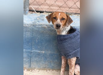 Alison, vorsichtig und zart