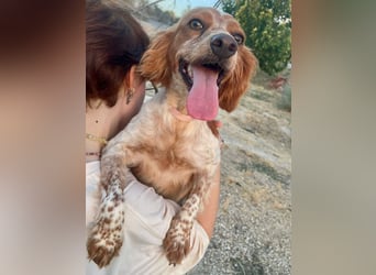 Linda, treu, liebenswert und voller Hoffnung