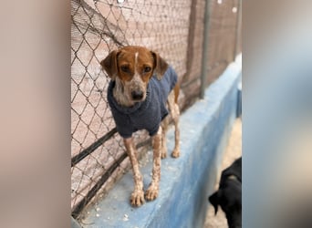 Alison, vorsichtig und zart