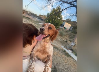 Linda, treu, liebenswert und voller Hoffnung