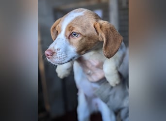 Anastasia – klein, tapsig und bereit fürs große Glück