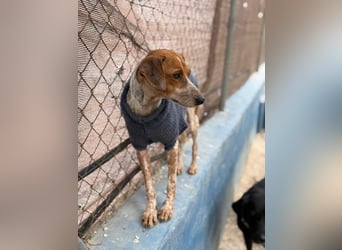 Alison, vorsichtig und zart