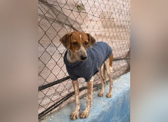 Alison, vorsichtig und zart