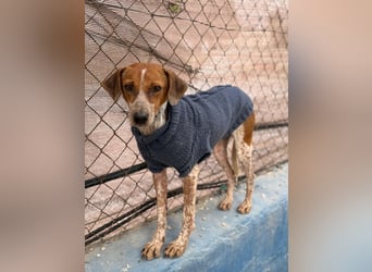 Alison, vorsichtig und zart