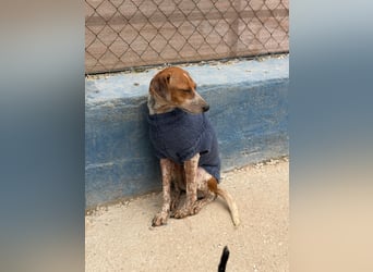 Alison, vorsichtig und zart