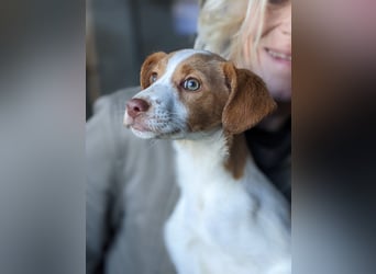 Anastasia – klein, tapsig und bereit fürs große Glück