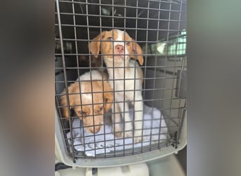 Anastasia – klein, tapsig und bereit fürs große Glück