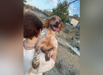 Linda, treu, liebenswert und voller Hoffnung