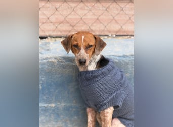 Alison, vorsichtig und zart