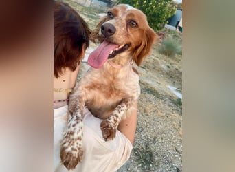 Linda, treu, liebenswert und voller Hoffnung