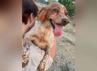 Linda, treu, liebenswert und voller Hoffnung